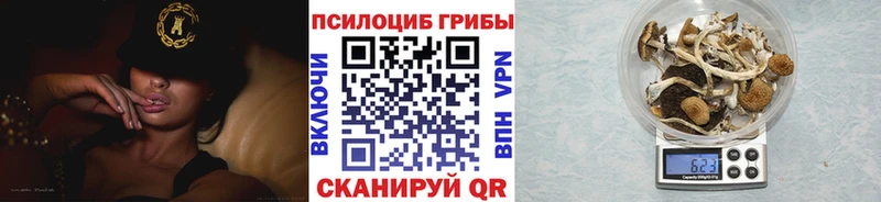 Псилоцибиновые грибы прущие грибы  Грайворон 